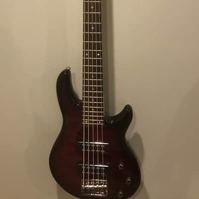 Schecter Raiden Special-5 5-String Bass Black Cherry