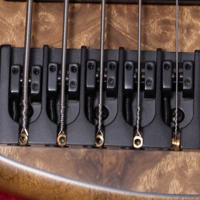 【new】Meridian Guitars / J-24 5 Custom 4.185kg #00511【GIB Hyogo】【price included SHIPPING & IMPORT TAX & VAT】 image 8
