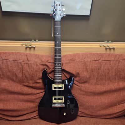 PRS SE Custom 22 - Gray Black Flame Hardtail image 2