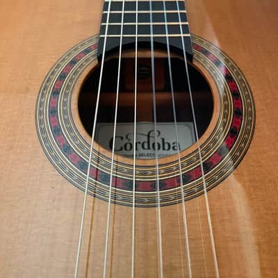 Cordoba Luthier Select Series Friederich Classical Nylon String Guitar image 4