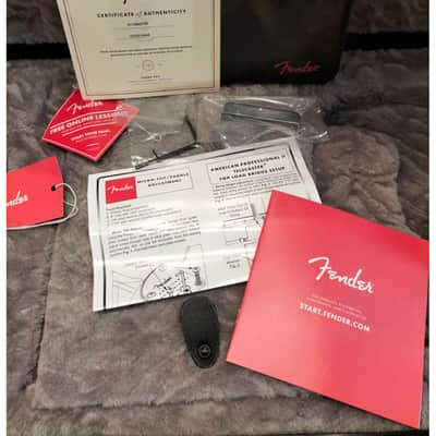 Fender American Professional II Telecaster Maple Fingerboard, Black image 17