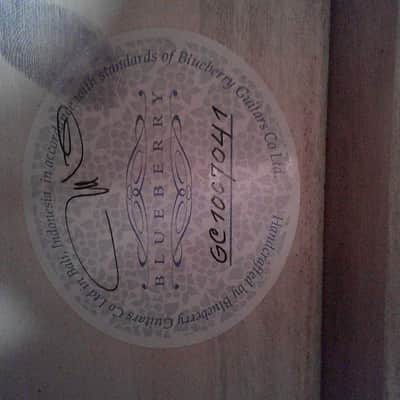 Blueberry Guitar Handmade Acoustic Guitar - Lady Liberty w/ Original Case image 7