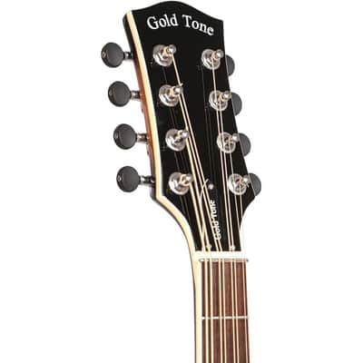 Gold Tone Mandocello Archtop in Sunburst with Case image 4