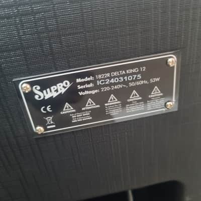 Supro Delta King 12 (15-Watt) image 5
