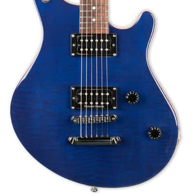 Washburn  WM100 image 2