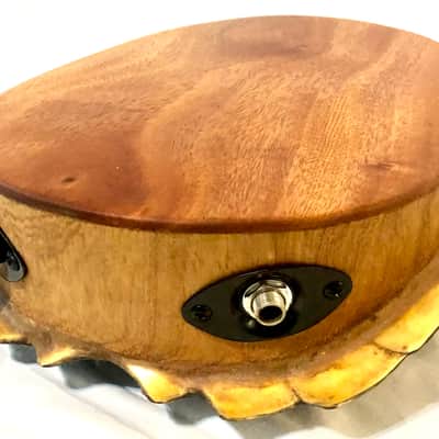 Electric turtle shell space drum | Reverb