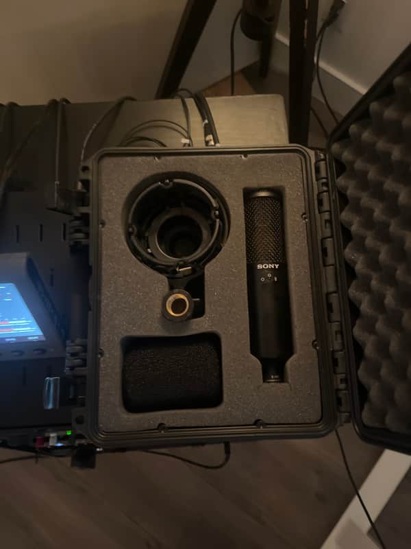 Sony C-100 Hi-Res Dual Capsule Condenser Microphone 2010s - Black image 1