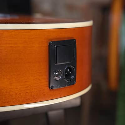 Washburn EA15 Festival Series Mini Jumbo Cutaway Acoustic Electric Guitar. Ice Tea Burst image 6