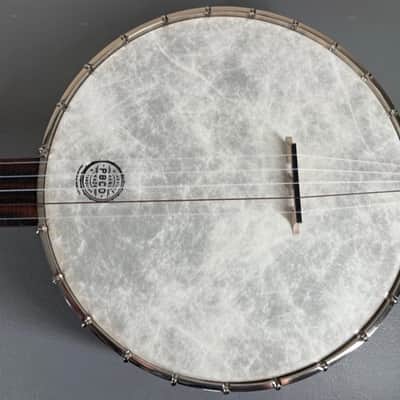 5-String Open-Back Banjo with Case in Excellent Condition, image 12