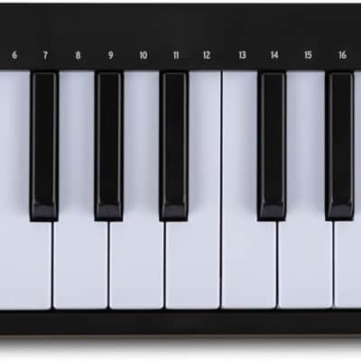 Arturia MICROLAB MK3 Portable MIDI Keyboard
