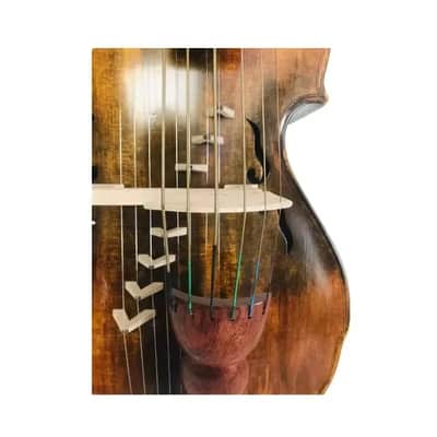 SONG Viola da gamba, Oil Finished (6x8) strings 19 1/4" Baryton Vio with 7 bridges image 4