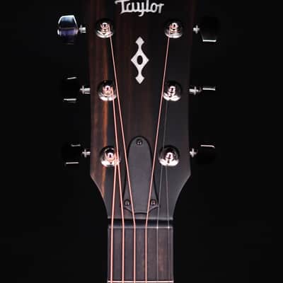 Taylor 314ce Next Generation Acoustic Guitar, Natural image 9