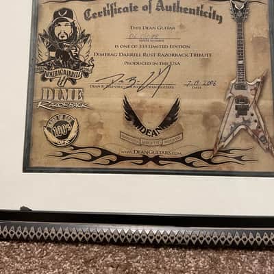 Dean Dimebag USA rust razorback 2006 - Rust image 6