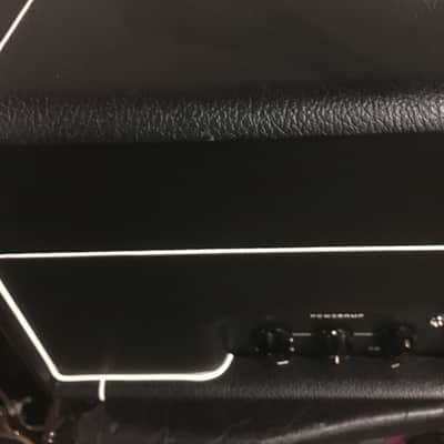 Peters Amplification Dual Channel image 2