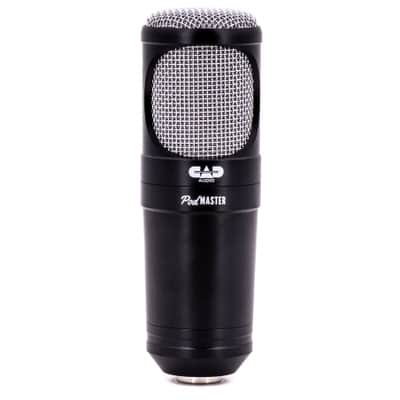 CAD PM1200 Super-D Podmaster Cardioid Dynamic Microphone image 4