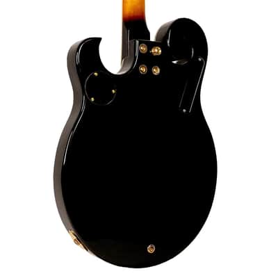 Gold Tone EBM-5 Solid Body Maple Top & Neck F-Style 5-String Electric Banjo w/Hard Case image 5