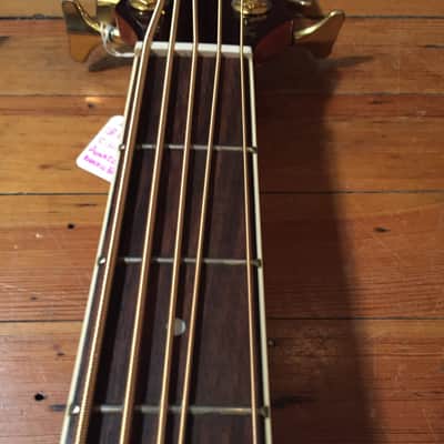 JB Player JBEAB4000NA 5-String Acoustic Electric Bass image 7