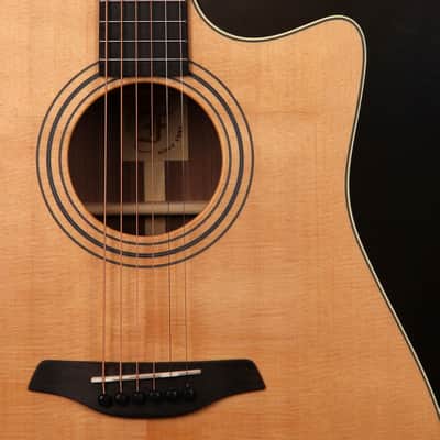 Furch D21-SW Cutaway acoustic guitar with quality bag Brand New 2017 built image 3