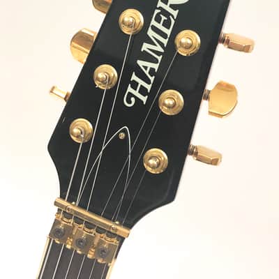 Hamer Archtop USA Custom w/ Floyd Rose Owned by Wolf Hoffmann Of Accept image 5