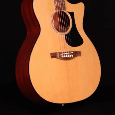 Eastman PCH1-GACE-CLA, Classic with Bag image 3