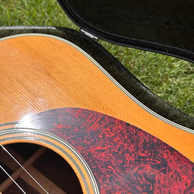 Vintage 1979 Martin D-35 w/ Modern HSC image 13