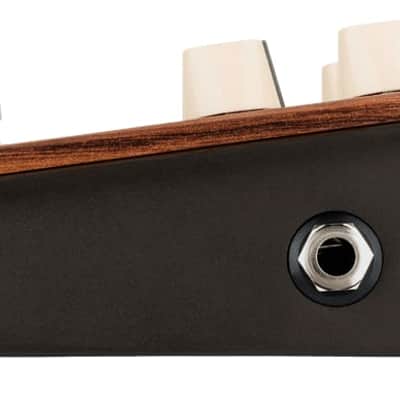 L.R. Baggs Align Series Reverb Pedal image 5