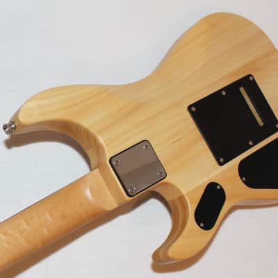 Washburn N1 Nuno Bettencourt Signature Electric Guitar image 5