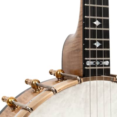 OME Wicklow Irish Tenor Banjo image 4
