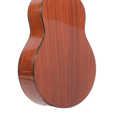 Gold Tone TG-18/L Solid Spruce Top Mahogany Neck 4-String Acoustic Tenor Guitar w/Vintage Design & Gig Bag For Left Handed Players image 2