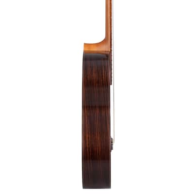 Kremona F65C | Solid Cedar Top Classical Guitar. New with Full Warranty! image 5