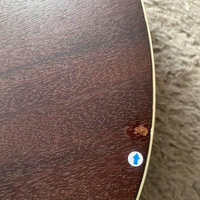 Ibanez Talman Acoustic Electric Guitar, Rosewood Top Body with Neck image 19