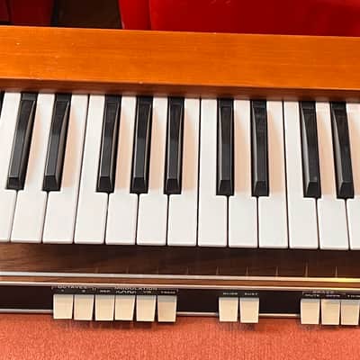 Moog Satellite 1973 - 1979 - Black