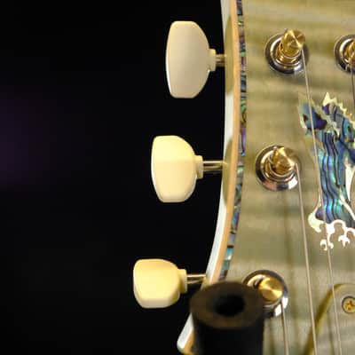 Mint PRS Private Stock McCarty 594 Singlecut - Sage Dragon's Breath image 16