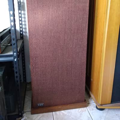 ESS Transtatic 1 Tower Speakers. Rare Electrostats. Fully Functional. Original. image 2