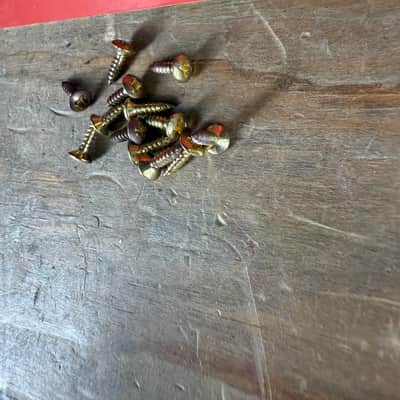 Real Life Relics Gold Pickguard Screws Small (Pack Of 13)