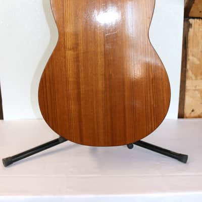Rare Apollo Parlor No. 006 Acoustic Guitar With Hard Shell Case image 10