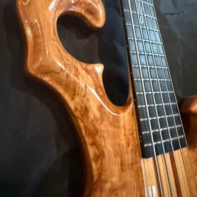 Spear S1-SP 5 string, 2005-2008, RARE! image 5