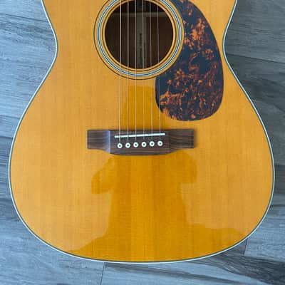 Tanglewood Sundance Historic TW40-O-AN, Hard Case 2010s image 14