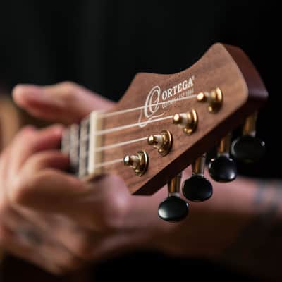 Ortega RUWN-CE Horizon Series Walnut Top Okoume Neck Concert Acoustic-Electric Ukulele w/Gig Bag image 21