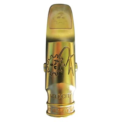 Theo Wanne Velocity 8 Alto - Gold image 1