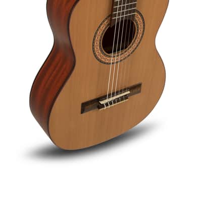 Manuel Rodriguez T-57 TRADICÍON Series 3/4 Size Solid Cedar Top Mahogany Neck Nylon 6-String Classical Acoustic Guitar image 3