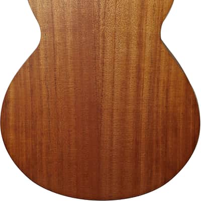 Tanglewood TWR20 Roadster Folk Acoustic Guitar image 2