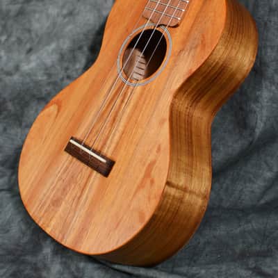 Martin C1K Ukulele Concert Size Koa Wood w/ FREE Same Day Shipping image 7