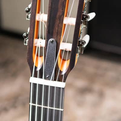 Taylor 212ce-N Plus Nylon Grand Concert Acoustic/Electric Guitar with Aerocase image 5