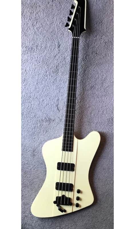 Gibson Thunderbird Bass 2003 ONE OF A KIND! Must Read! image 1