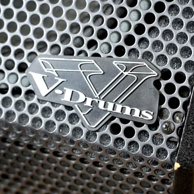 Roland PM-10 Drums Amp image 3