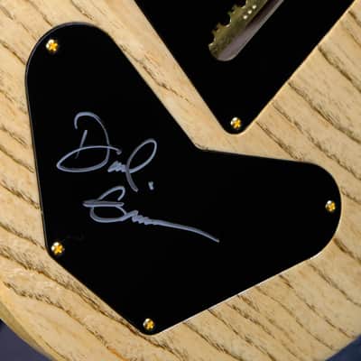PRS Wood Library DGT Electric Guitar with Bird Inlays - Copperhead with Natural Back image 11