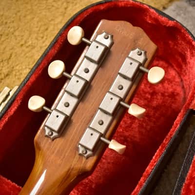 Gibson Melody Maker D with Vibrola 1967 - Pelham Blue image 12