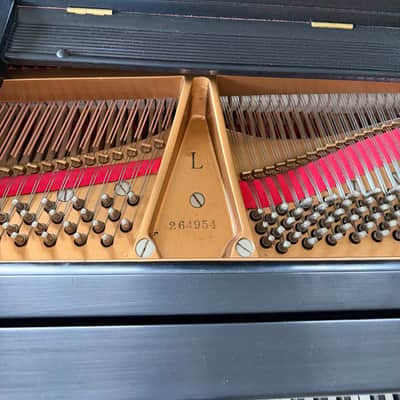 Immagine Steinway L 1929 - Ebony Satin - 3