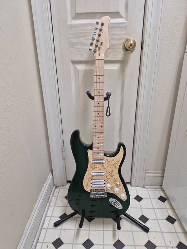 Partscaster Stratocaster HSS 2025 image 1